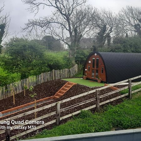 Ivy Hill Glamping Pod Lägenhet Ennis Exteriör bild