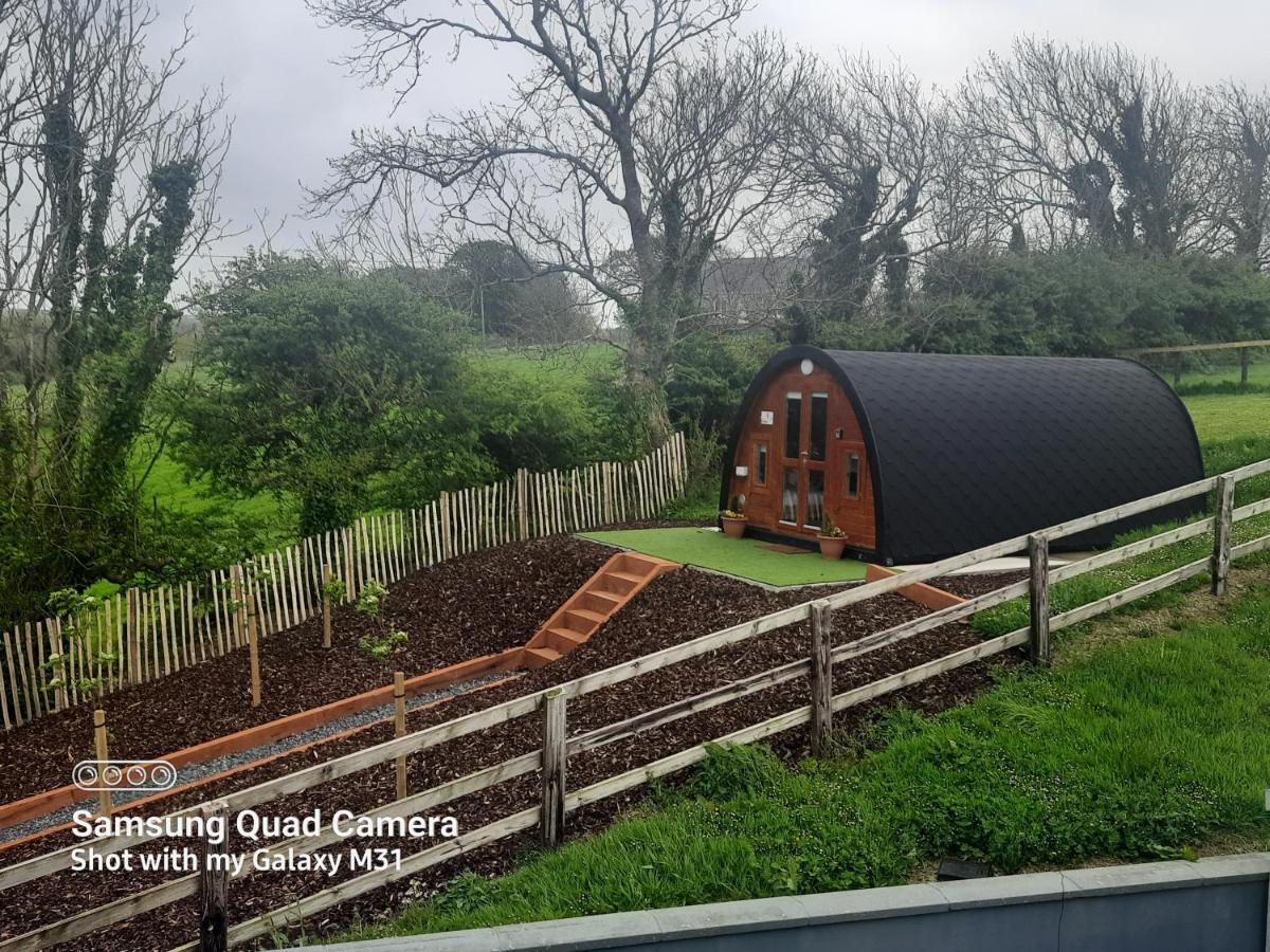 Ivy Hill Glamping Pod Lägenhet Ennis Exteriör bild