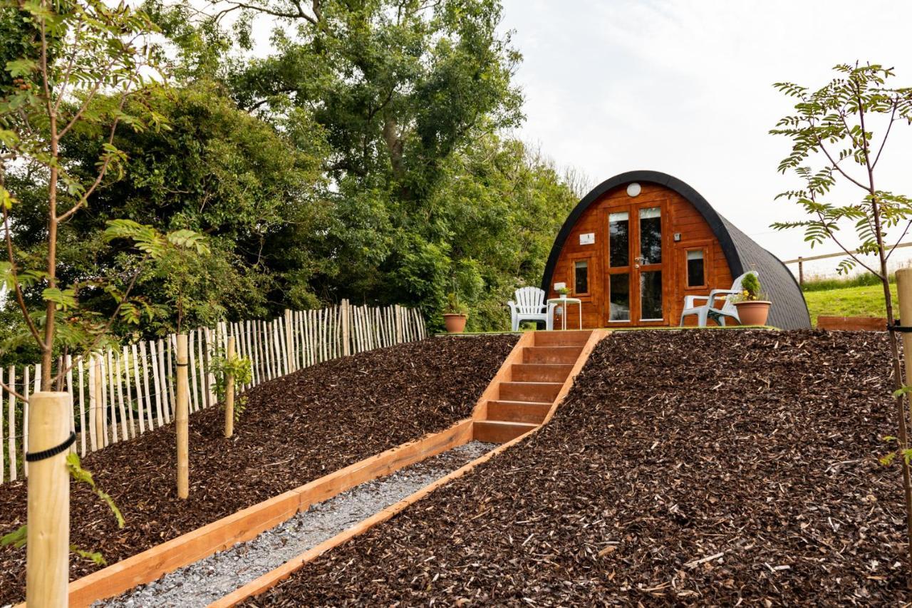 Ivy Hill Glamping Pod Lägenhet Ennis Exteriör bild