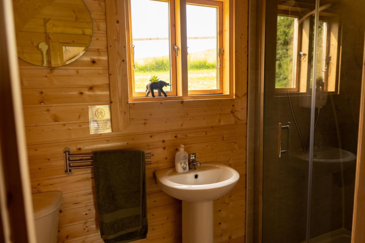 Ivy Hill Glamping Pod Lägenhet Ennis Exteriör bild